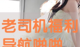 老司机免费福利视频,独家驾驶技巧大放送！